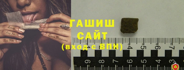 стаф Аркадак