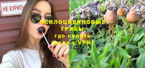 дурь Армянск