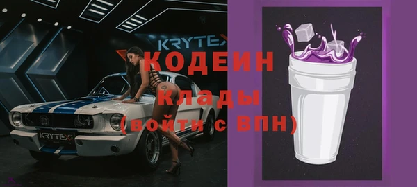 стаф Аркадак