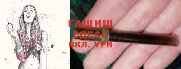 стаф Аркадак
