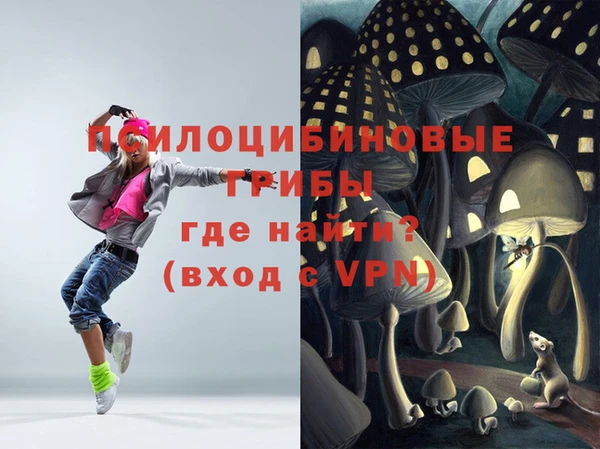 стаф Аркадак