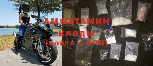 стаф Аркадак