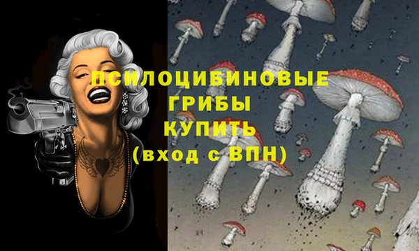 стаф Аркадак