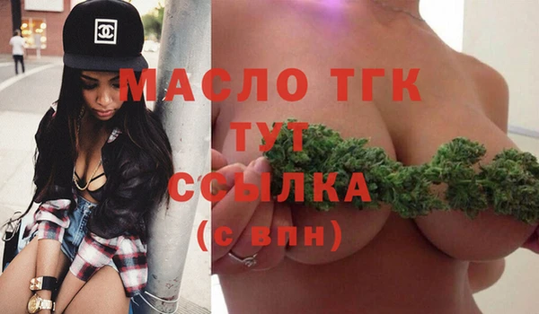 стаф Аркадак