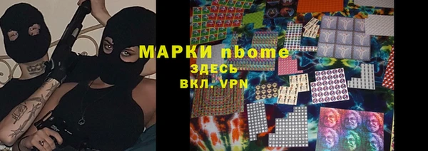 стаф Аркадак