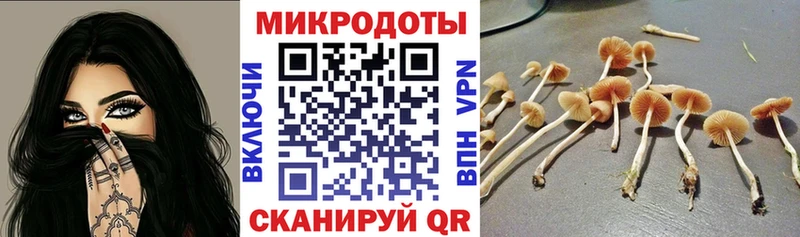 Псилоцибиновые грибы Psilocybine cubensis  ОМГ ОМГ   Ишимбай 